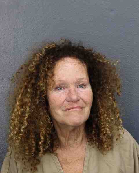 Booking photograph for HENDRIX, SHANNON
