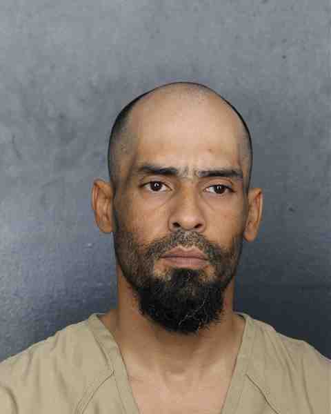 Booking photograph for LUNA LACAYO, CESAR