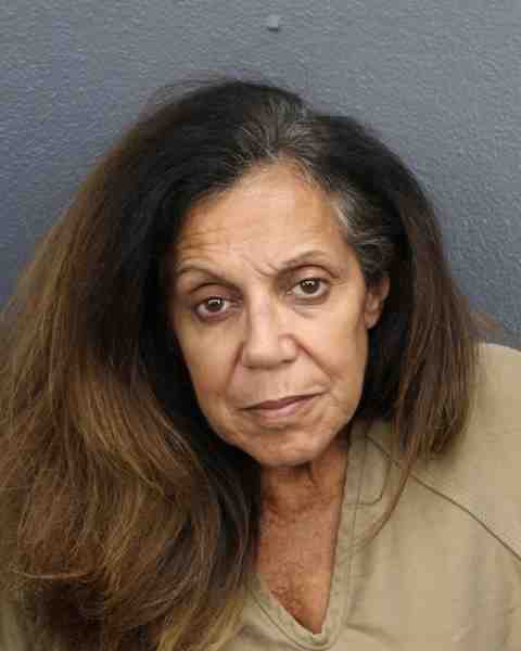 Booking photograph for BOVE, LYNN