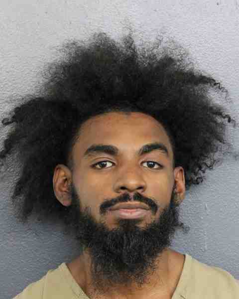 Booking photograph for DARVILLE, COLLINWOOD