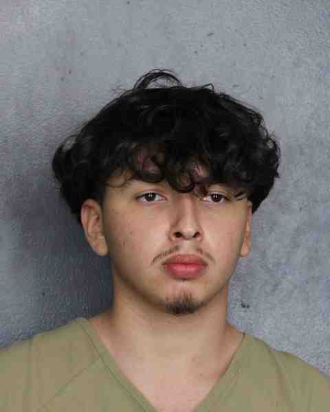 Booking photograph for BLANCO, GABRIEL