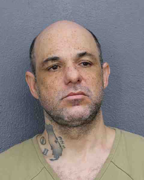 Booking photograph for HOLLINGSWORTH, SHANNON