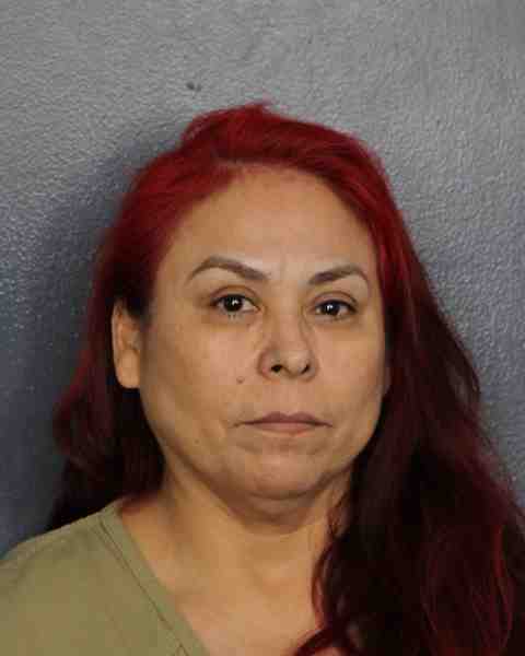 Booking photograph for RAMIREZ, MARIA
