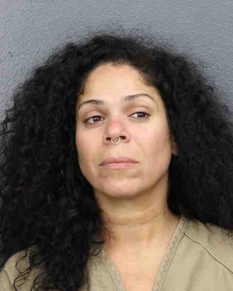Booking photograph for ORTIZ, MELISSA