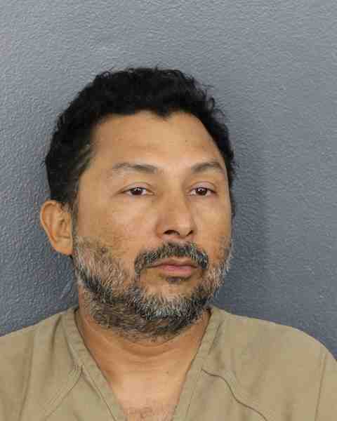 Booking photograph for ALEGRIA REVOLORIO, RICARDO