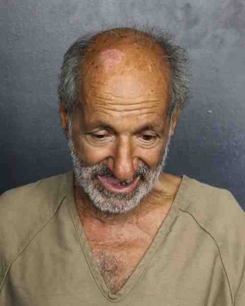 Booking photograph for DELVECCHIO, LOUIS
