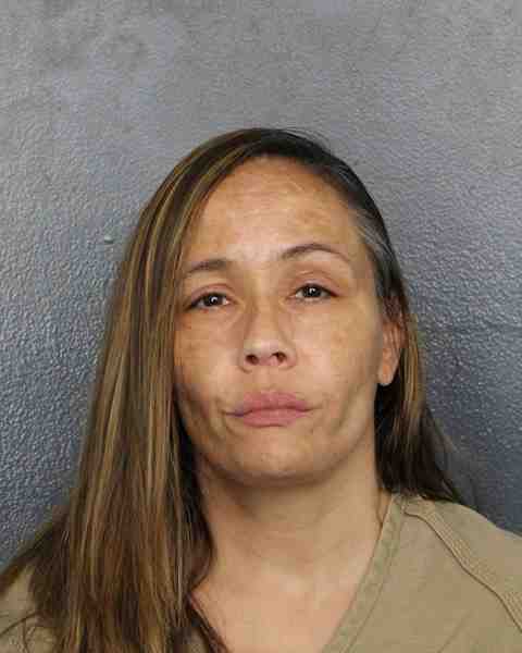 Booking photograph for FORTIS MARINELLI, ERICA