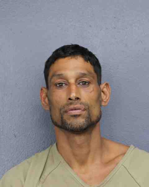 Booking photograph for ORTIZ, MIKE