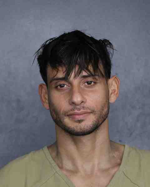 Booking photograph for FARINAZZO, VINICIUS