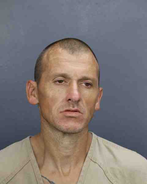 Booking photograph for FOSTER, LYNNE