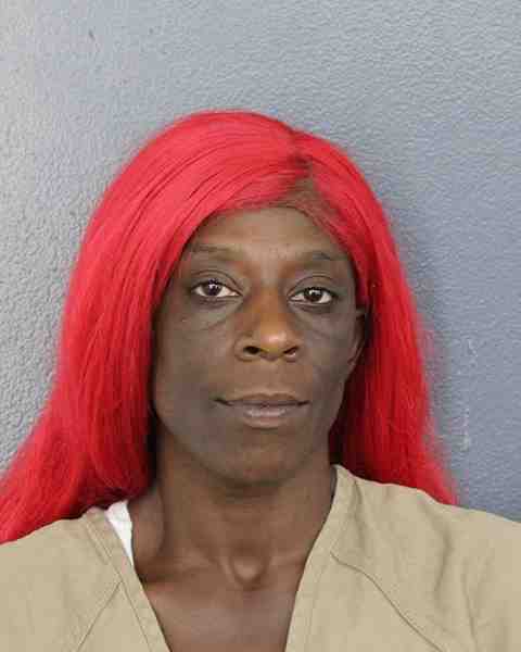 Booking photograph for WESLEY, DELENA