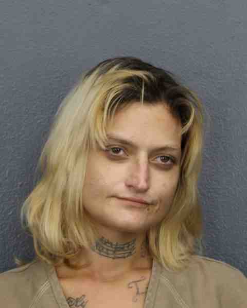 Booking photograph for ETZLE, MIA