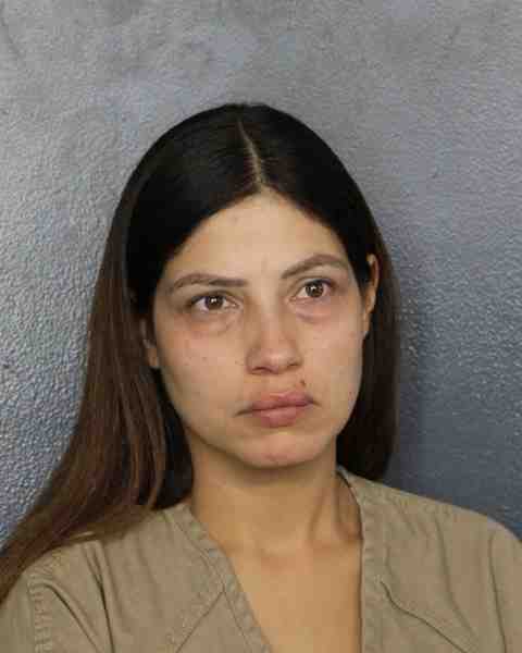 Booking photograph for FERREIRA, AMY