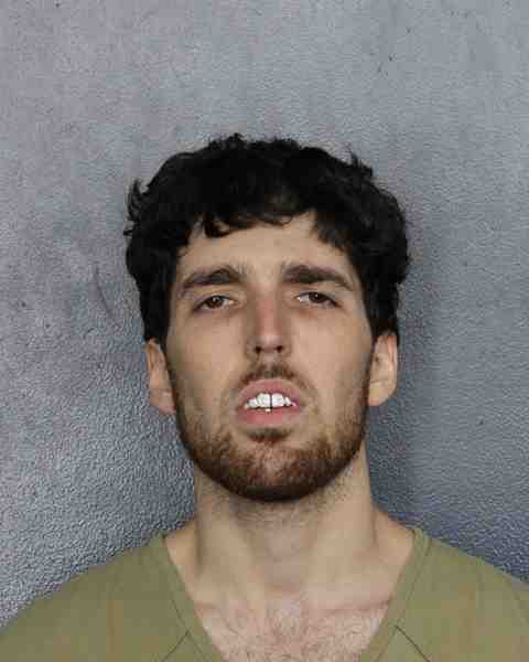 Booking photograph for DEVITO, NICKOLAS