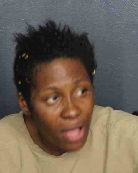 Booking photograph for SALMON, TINESHA