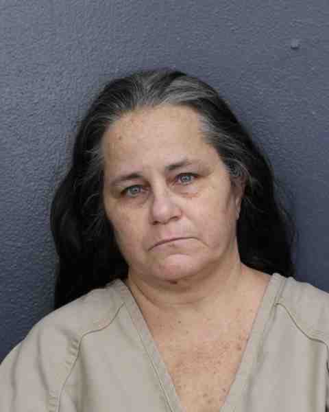 Booking photograph for FERNANDEZ, DARLENE