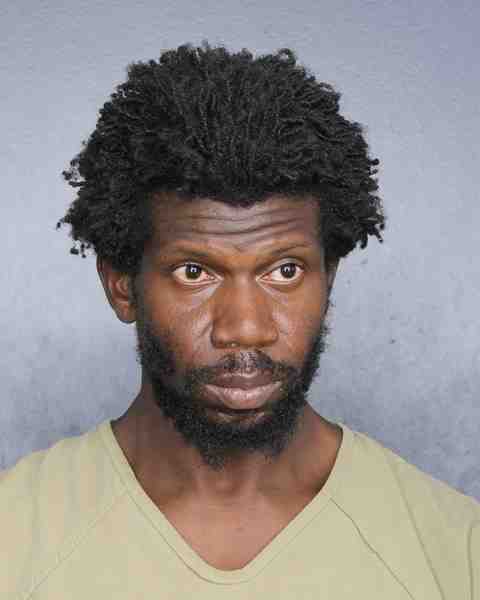 Booking photograph for BRAMWELL, BOETTICHER