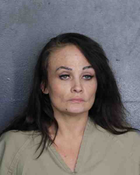 Booking photograph for TAYLOR, MEGAN