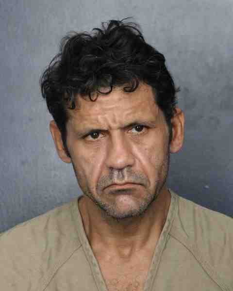 Booking photograph for BINGHAM, ANDREW