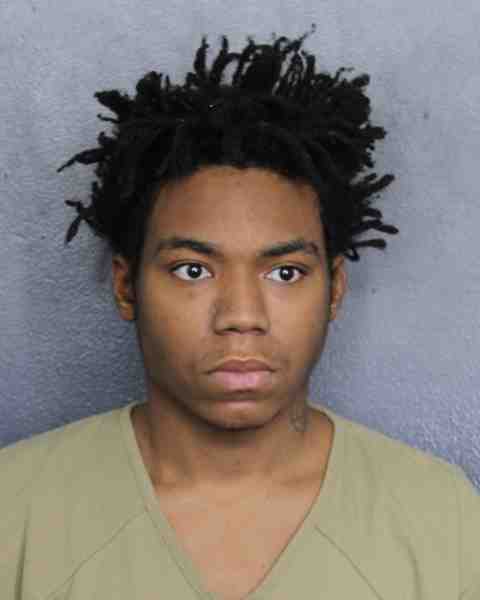 Booking photograph for LIVINGSTON, ZION