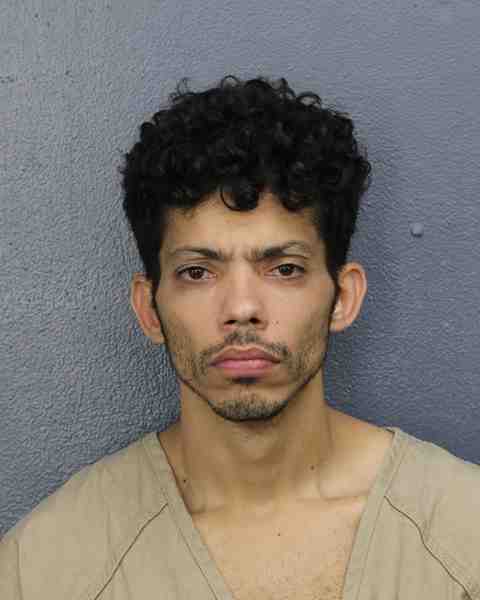 Booking photograph for FERNANDEZ GONZALEZ, IVAN