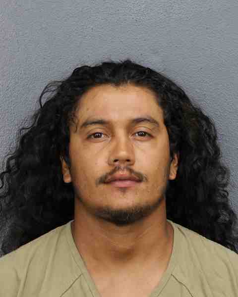 Booking photograph for DOMINGUEZ LICONA, RENE
