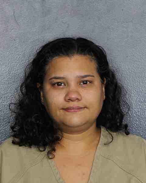 Booking photograph for DIAZ, LIAYEN